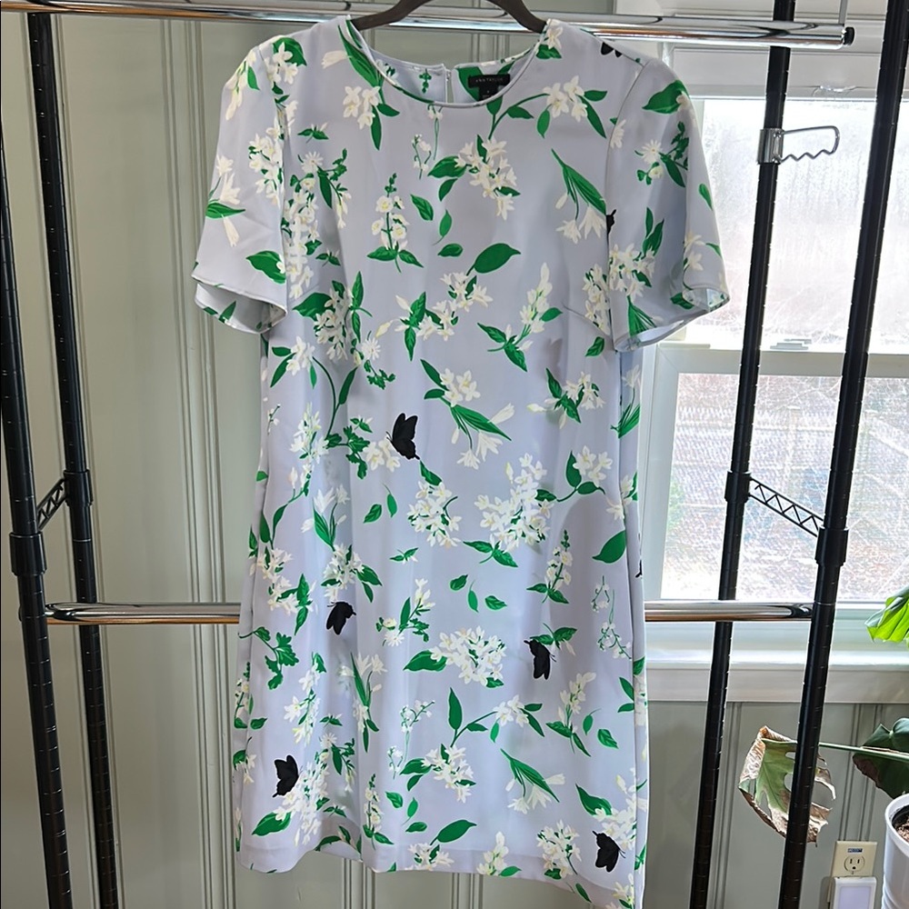 Ann Taylor Floral Shift Dress